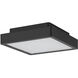 Patrol Q LED 9.29 inch Black Outdoor Ceiling Mount